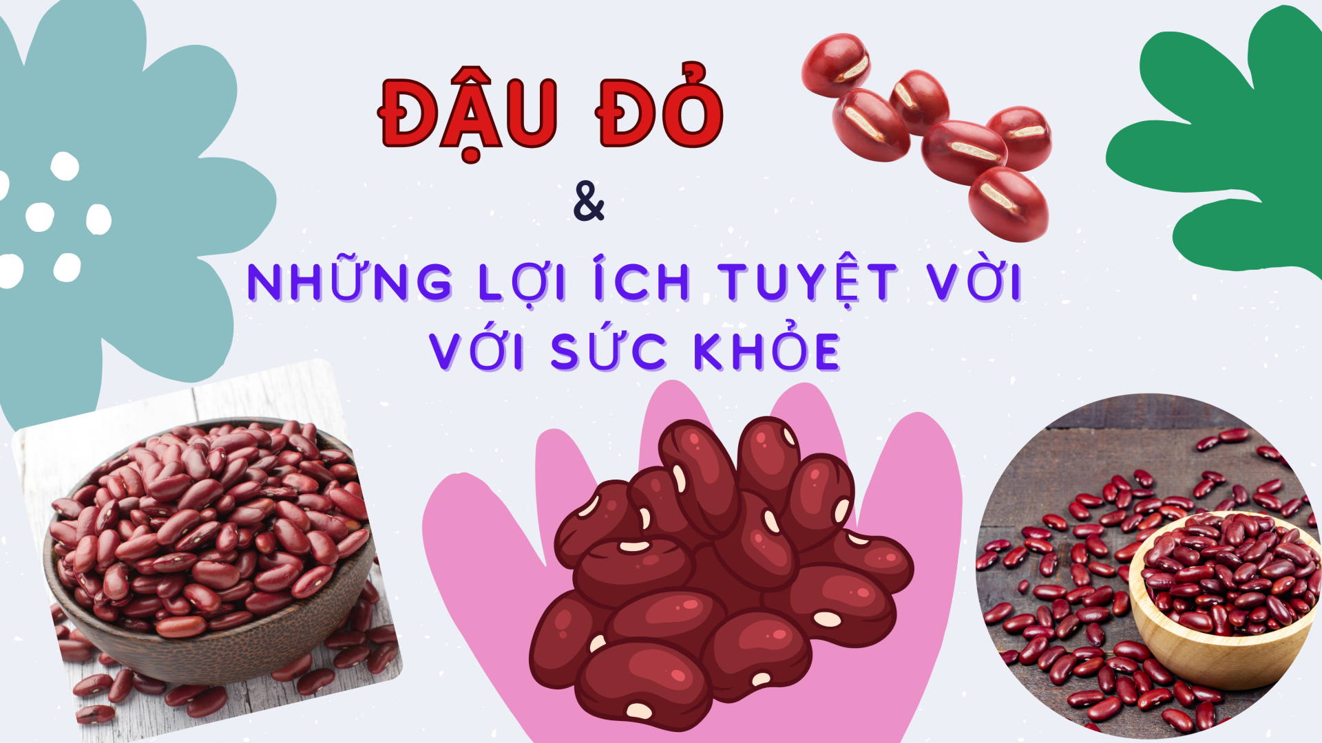 Đậu đỏ và những lợi ích tuyệt vời với sức khỏe