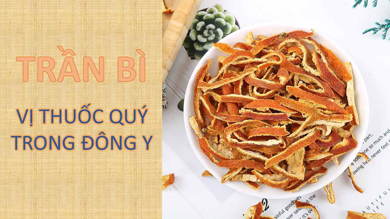 Trần bì - Vị thuốc quý trong Đông y 