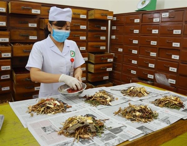 Hoàn thiện hành lang pháp lý trong bảo tồn và phát triển tri thức y học dân tộc