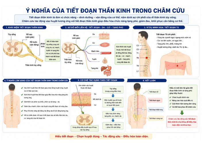 Cơ sở khoa học của Châm cứu - Cấy chỉ dưới góc nhìn y học hiện đại