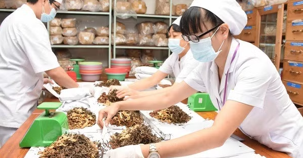 Đưa y học cổ truyền về với cộng đồng: Hướng đi chiến lược cho sức khỏe nhân dân