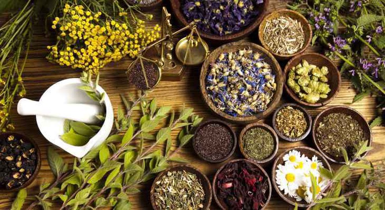 Xây dựng y học cổ truyền thành bộ phận quan trọng của hệ thống y tế quốc gia
